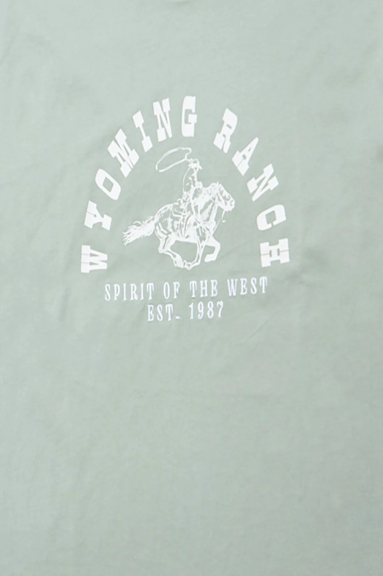 Wyoming Graphic Boyfriend Tee - Image 2