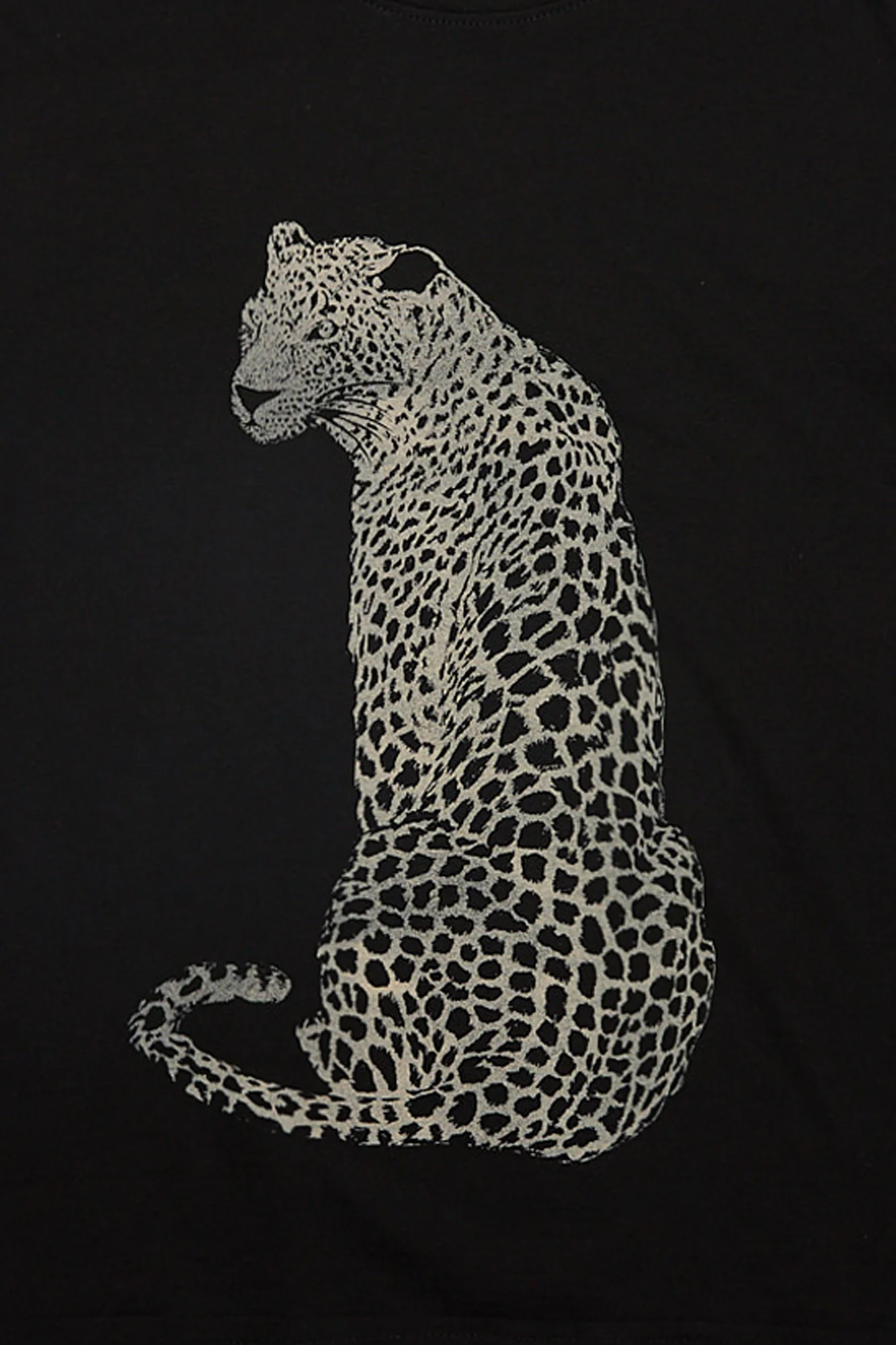 Leopard Graphic Boyfriend Tee - Image 2