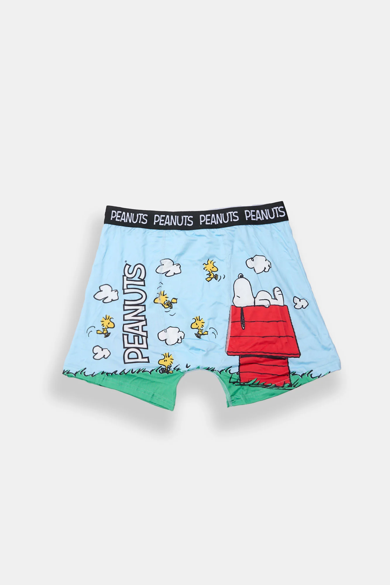 Peanuts Doghouse Printed Boxer Briefs