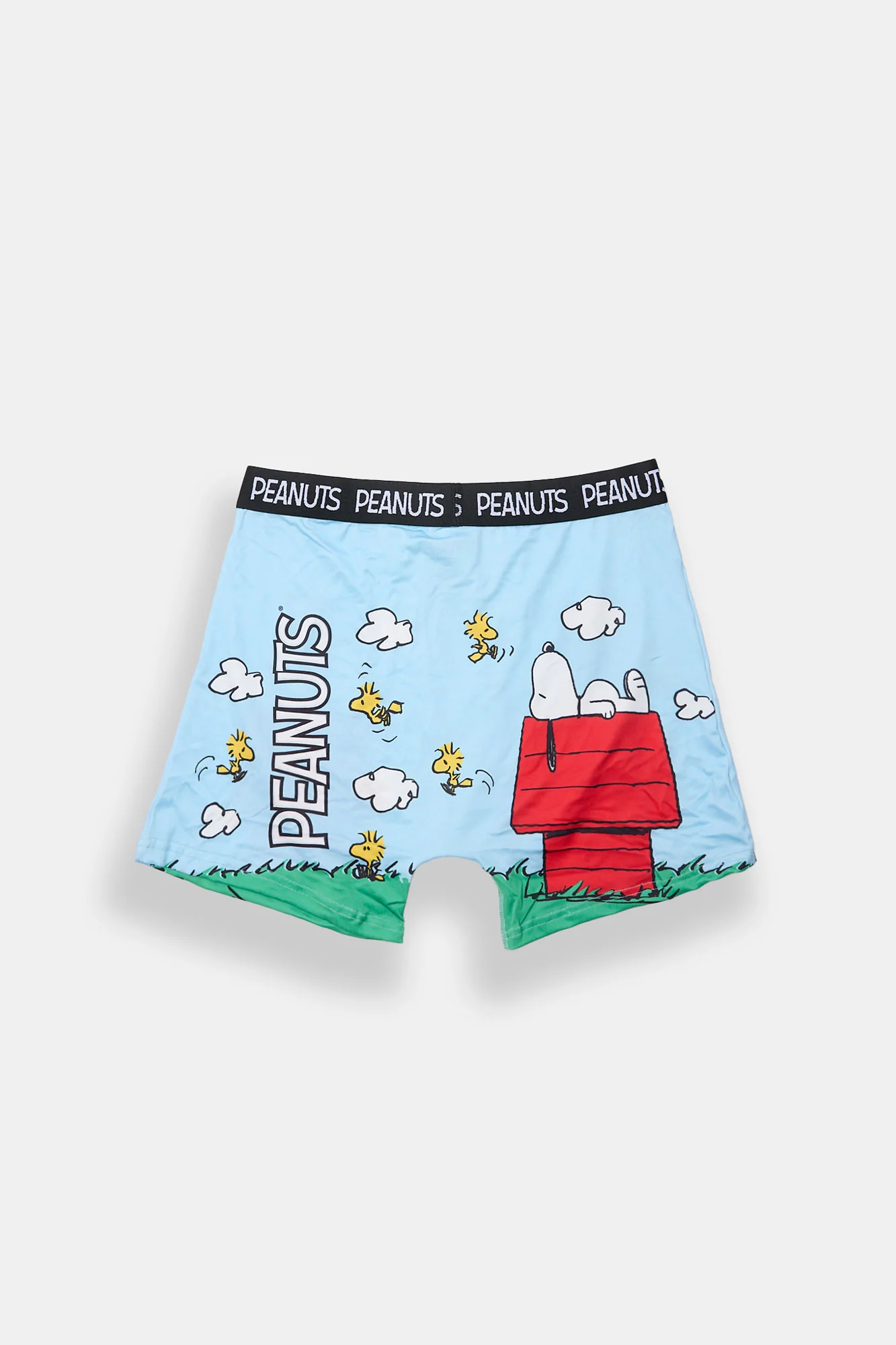 Peanuts Doghouse Printed Boxer Briefs - Image 2