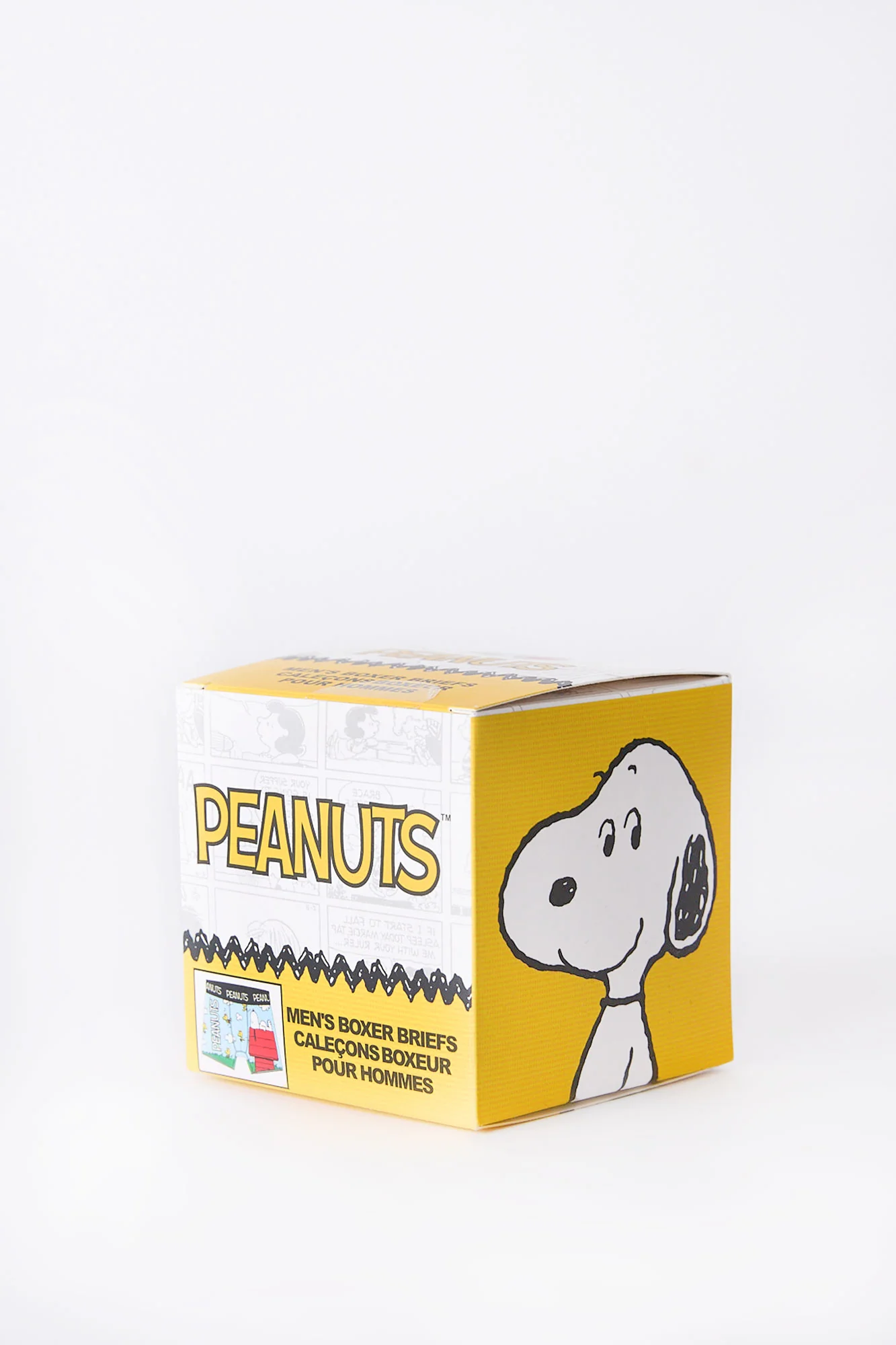 Peanuts Doghouse Printed Boxer Briefs - Image 3