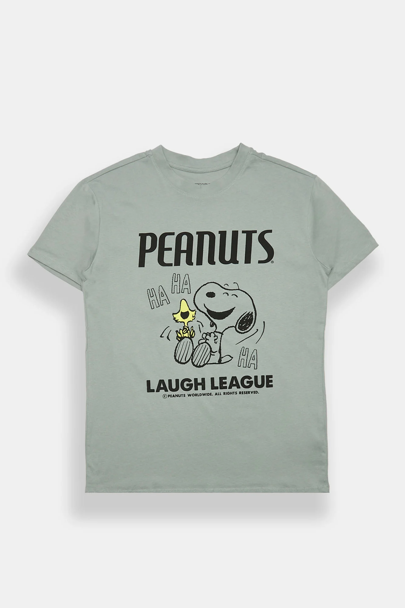 Peanuts Snoopy & Woodstock Graphic Boyfriend Tee